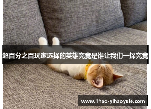 超百分之百玩家选择的英雄究竟是谁让我们一探究竟