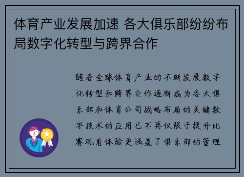 体育产业发展加速 各大俱乐部纷纷布局数字化转型与跨界合作